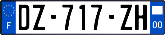 DZ-717-ZH