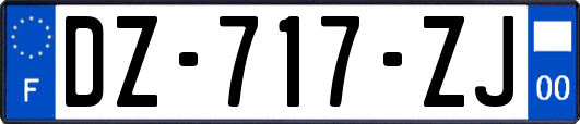 DZ-717-ZJ