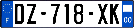 DZ-718-XK