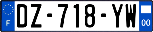 DZ-718-YW