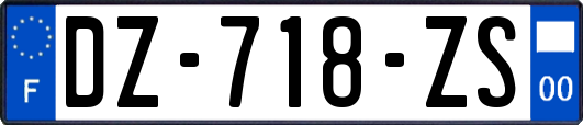 DZ-718-ZS