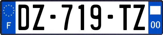 DZ-719-TZ