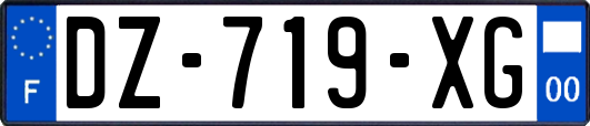 DZ-719-XG