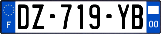 DZ-719-YB