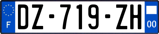 DZ-719-ZH