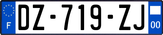 DZ-719-ZJ