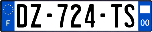 DZ-724-TS