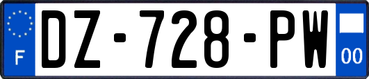 DZ-728-PW