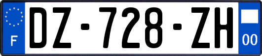 DZ-728-ZH