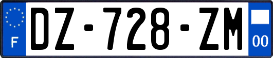 DZ-728-ZM