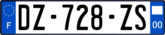 DZ-728-ZS