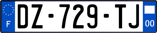 DZ-729-TJ