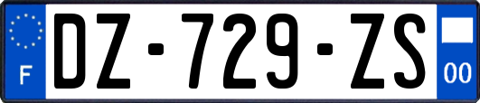 DZ-729-ZS