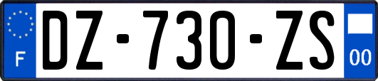 DZ-730-ZS