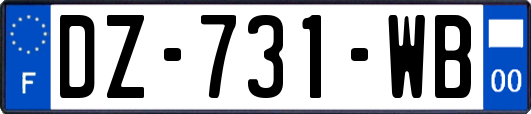 DZ-731-WB