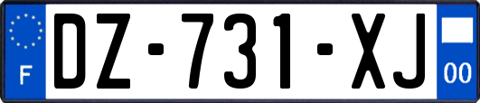 DZ-731-XJ