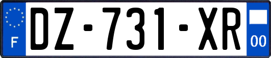 DZ-731-XR