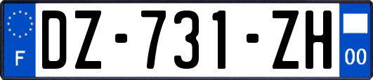 DZ-731-ZH