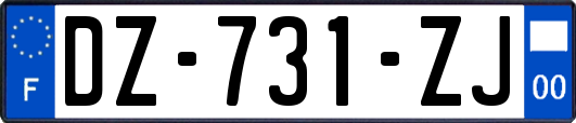 DZ-731-ZJ