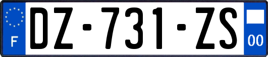 DZ-731-ZS