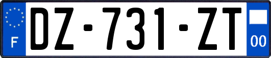 DZ-731-ZT