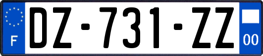 DZ-731-ZZ