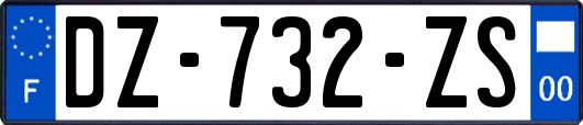 DZ-732-ZS