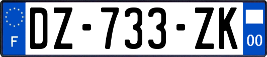 DZ-733-ZK