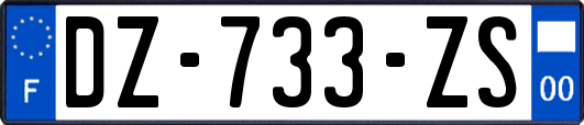 DZ-733-ZS