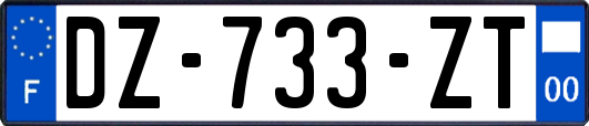 DZ-733-ZT