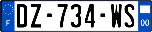 DZ-734-WS