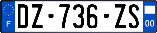 DZ-736-ZS