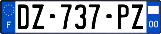 DZ-737-PZ