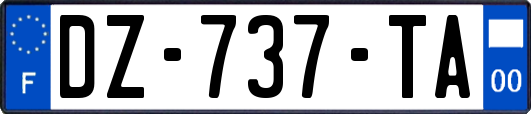 DZ-737-TA