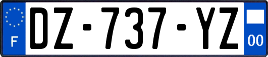 DZ-737-YZ