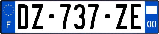 DZ-737-ZE