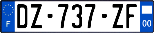 DZ-737-ZF