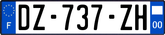 DZ-737-ZH