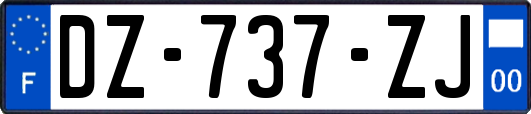 DZ-737-ZJ