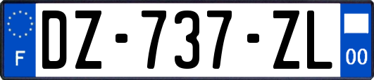 DZ-737-ZL