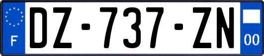 DZ-737-ZN