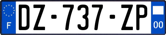 DZ-737-ZP