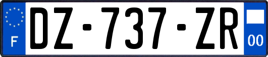 DZ-737-ZR