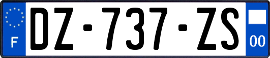 DZ-737-ZS