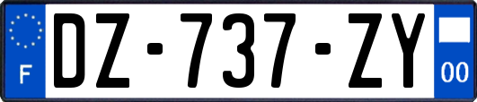 DZ-737-ZY
