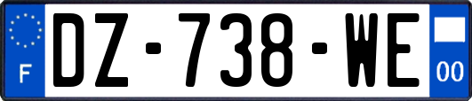 DZ-738-WE