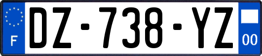 DZ-738-YZ