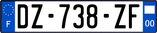 DZ-738-ZF