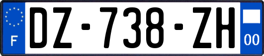 DZ-738-ZH