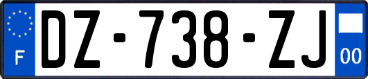 DZ-738-ZJ